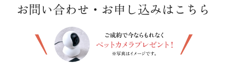 お問い合わせ・お申し込みはこちら