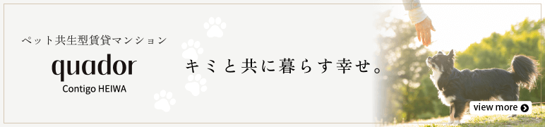 quador Contigo平和 専用サイト