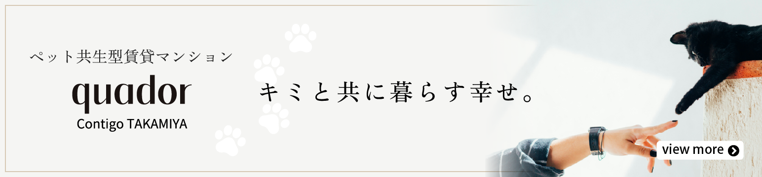 quador-contigo-takamiya