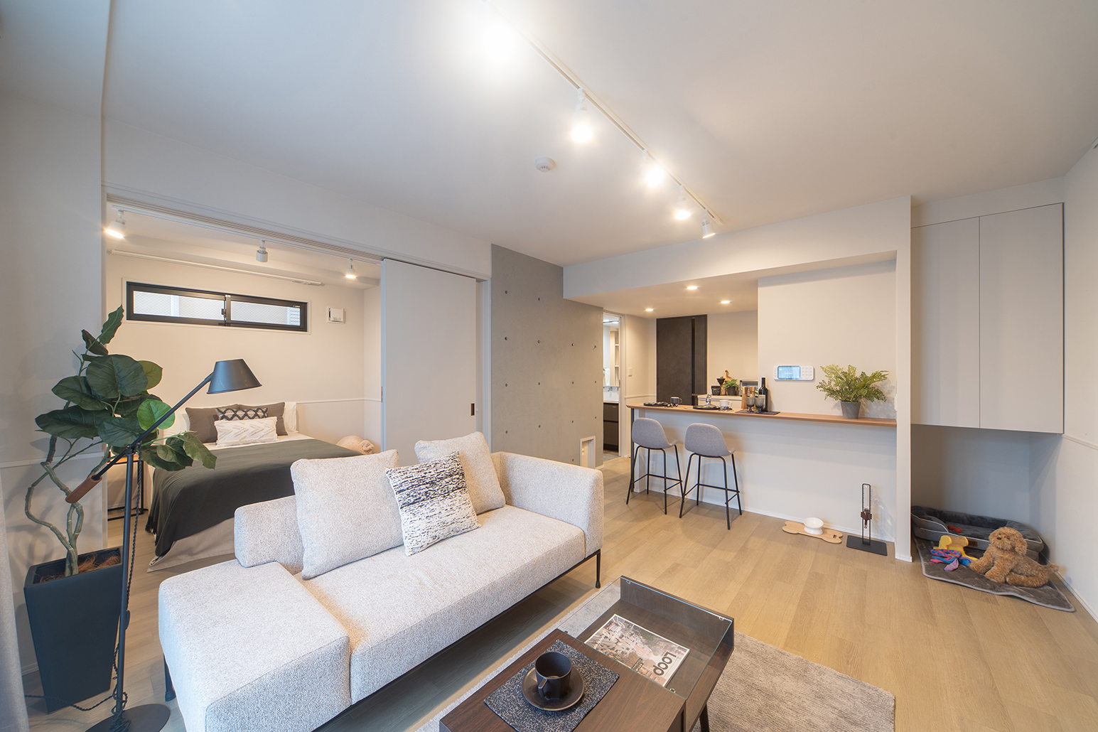 quador Contigo 高宮