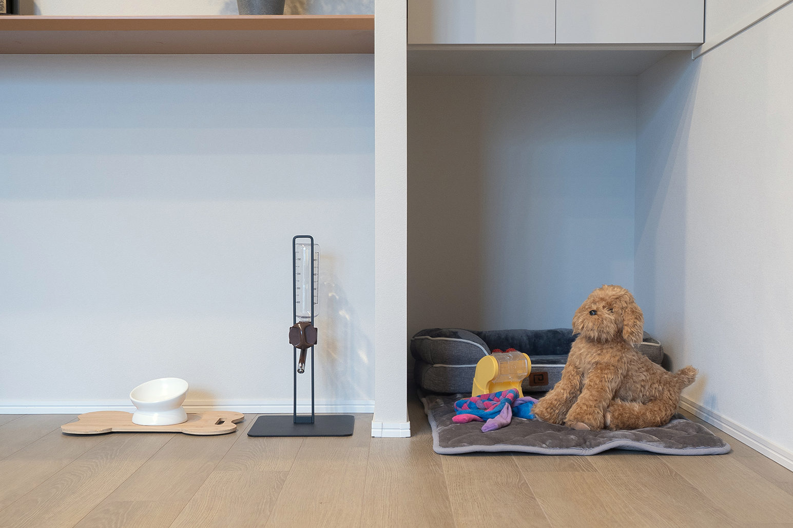 quador Contigo 高宮