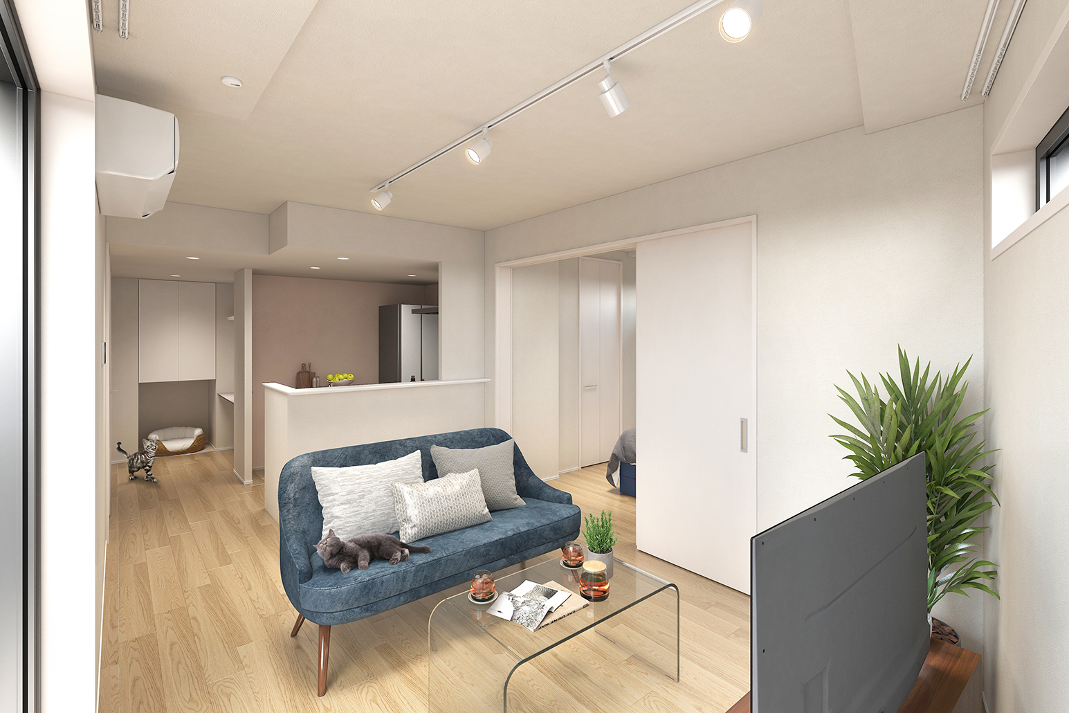 quador Contigo 平和