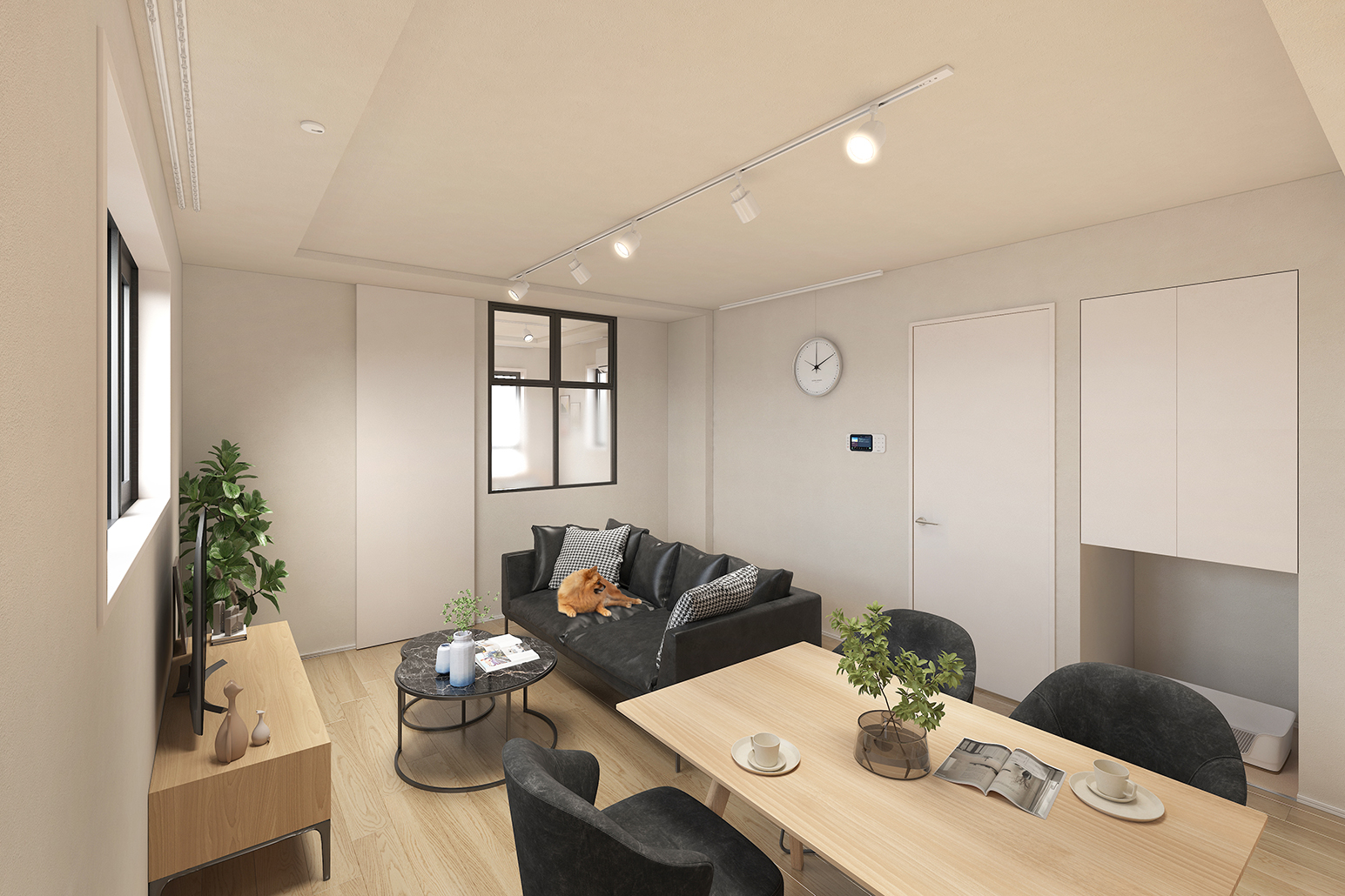 quador Contigo 平和