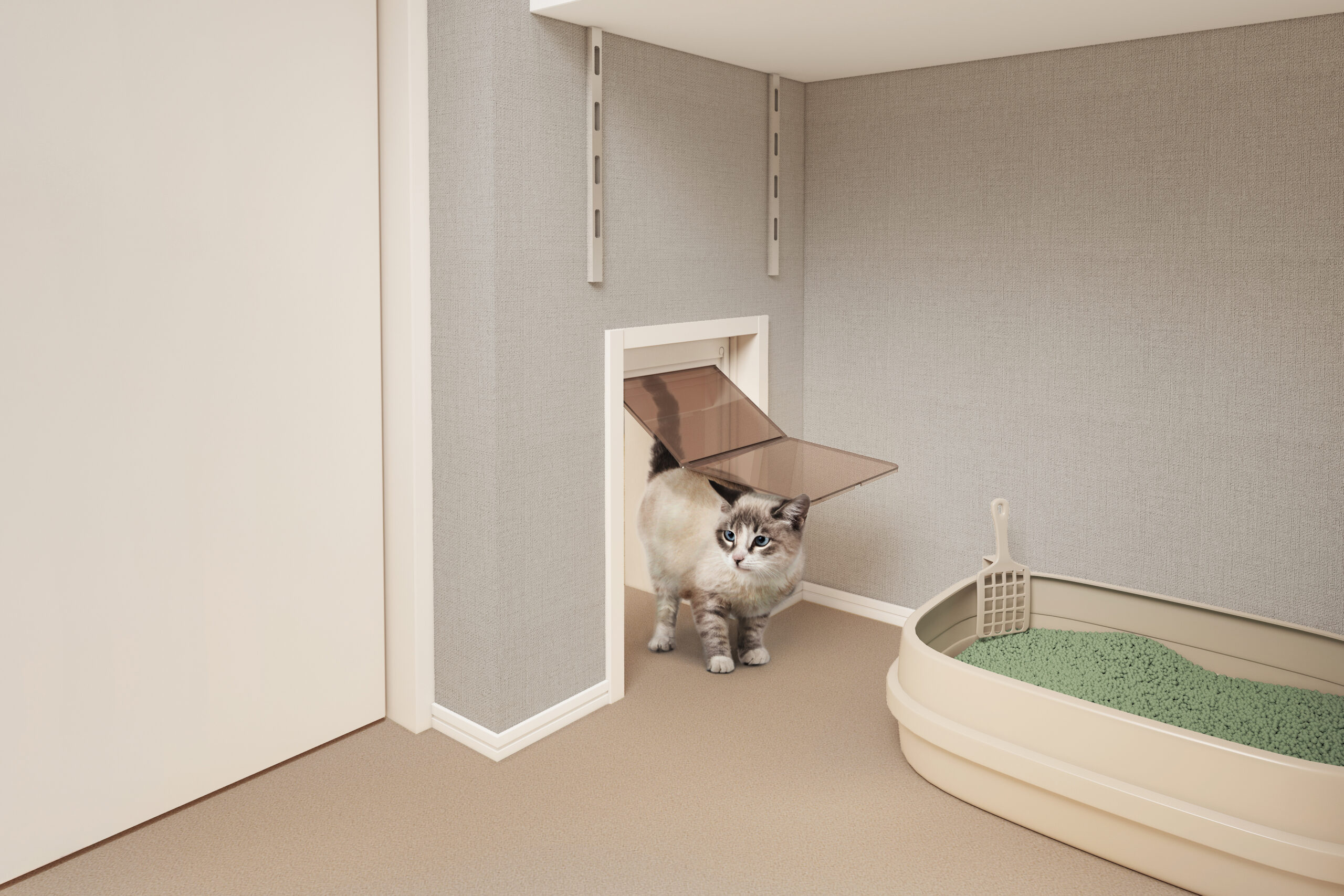 quador Contigo 平和